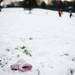 A lost mitten is left behind after a day of sledding at Huron Hills Golf Course on Friday, Dec 28. Daniel Brenner I AnnArbor.com